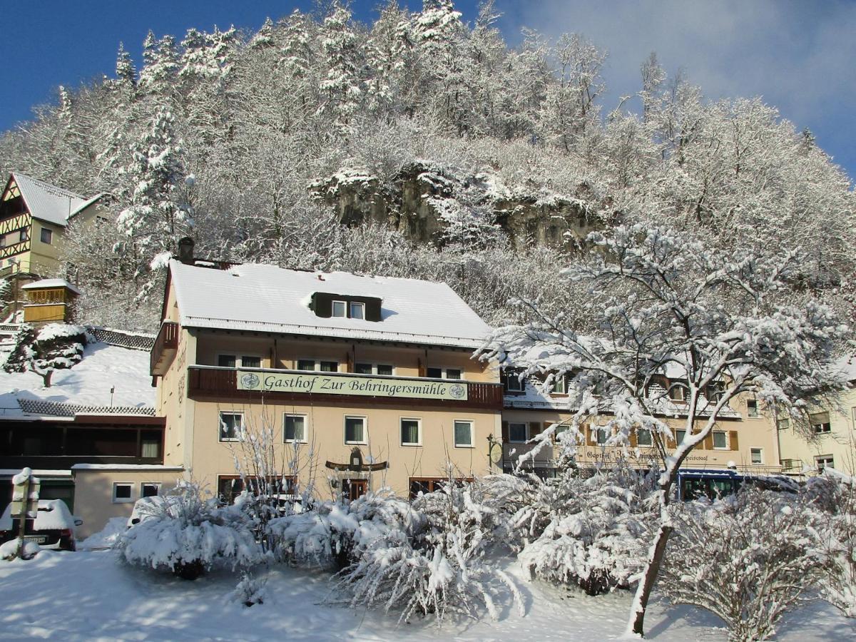 Gasthof Zur Behringersmuhle Hotel โกสไวน์ชไตน์ ภายนอก รูปภาพ
